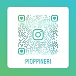 Pioppi Neri R&b B&B 3*