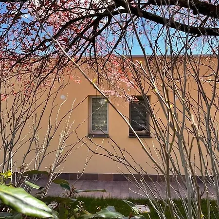 Bed & Breakfast Pioppi Neri R&b Felino