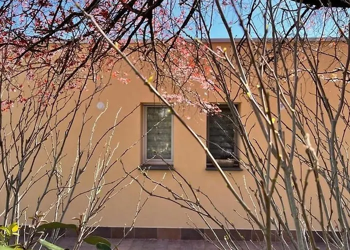 Bed & Breakfast Pioppi Neri R&b Felino